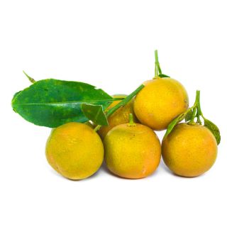 Kumquat (extracto de cáscara)